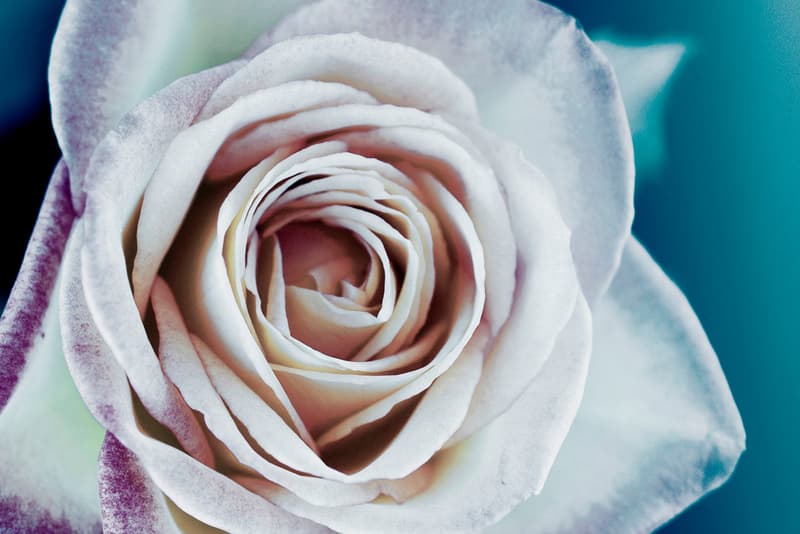 Starbucks "Passion for Art 2012 - EXPRESSO" Exhibition