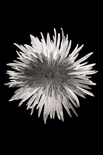 TOKYO PHOTO 2012 東京攝影展