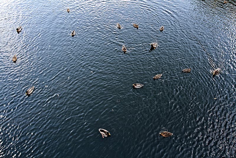 UNIVERSAL WORKS x C-Store Mod Parka 別注外套