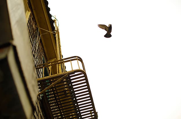 Benny Gold x JanSport 2012 冬季聯名系列造型穿搭 Lookbook