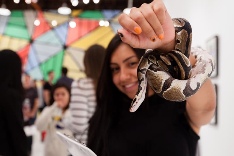 Known Gallery 舉辦藝術家 PUSH “In Other Words” 個人展