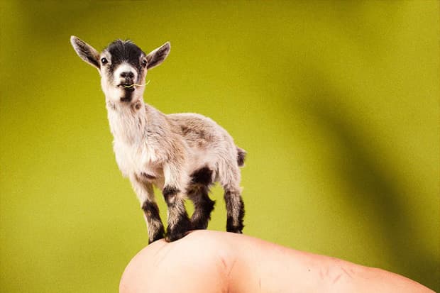 Tomio Koyama Gallery 舉辦 Ryan McGinley “Reach Out, I’m Right Here” 攝影展回顧