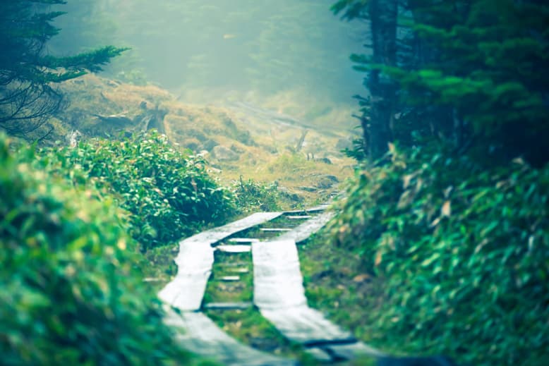 and weather 2013 春夏造型搭配概念 Lookbook