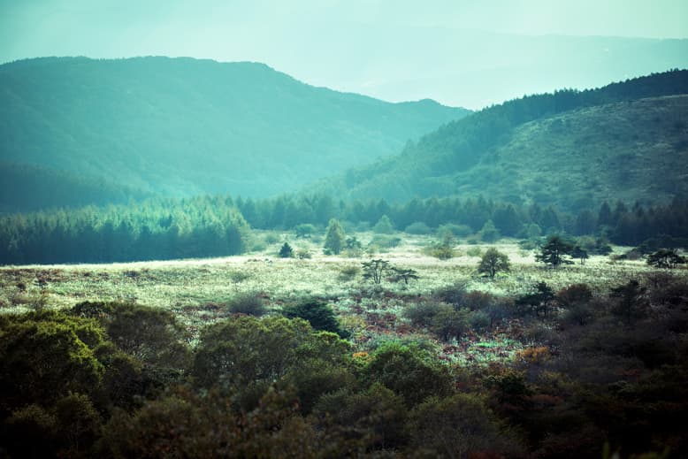 and weather 2013 春夏造型搭配概念 Lookbook