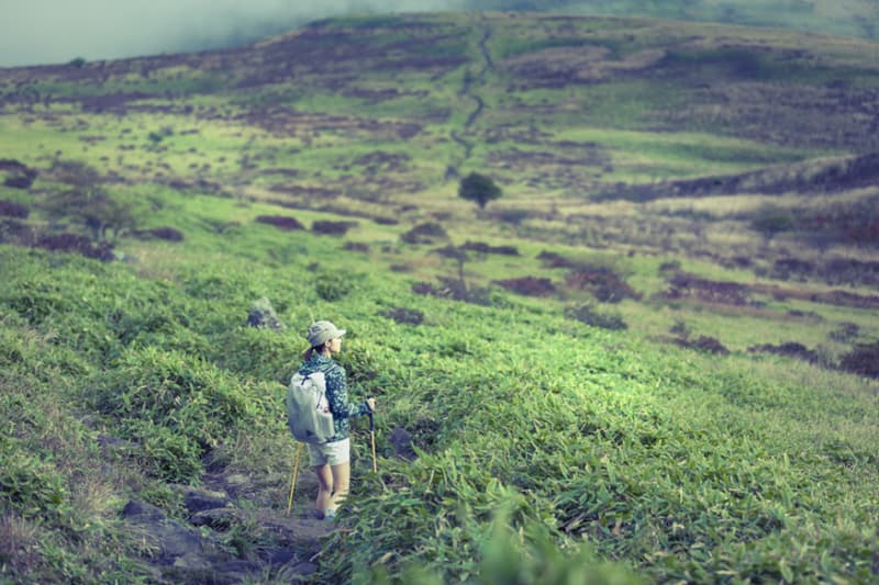 and weather 2013 春夏造型搭配概念 Lookbook