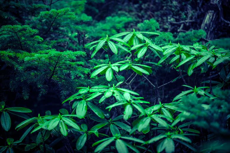 and weather 2013 春夏造型搭配概念 Lookbook