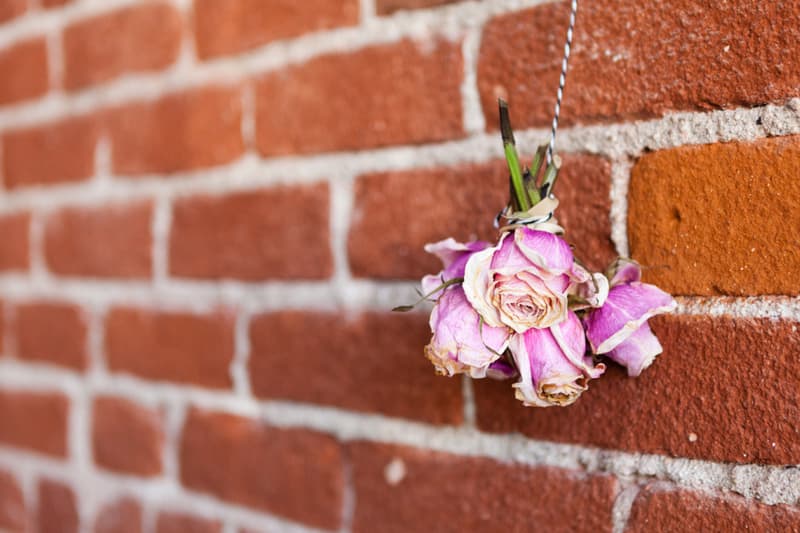 Hypebeast Spaces: 造訪 Sonja Teri 所創立的 Poster Child Prints 工作室