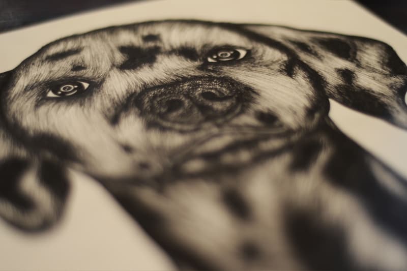 Pen & Paper: Willkay