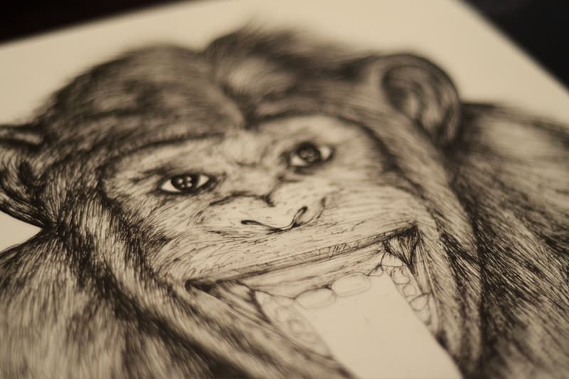 Pen & Paper: Willkay