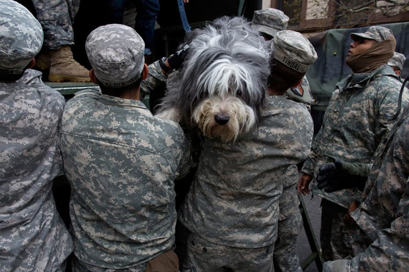 The Big Picture 忠實呈現颶風 “ Sandy” 侵襲美國東岸過後景況