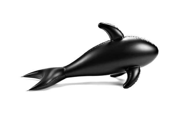 Alexander Wang Objects Collection No. 2 第二波系列新品