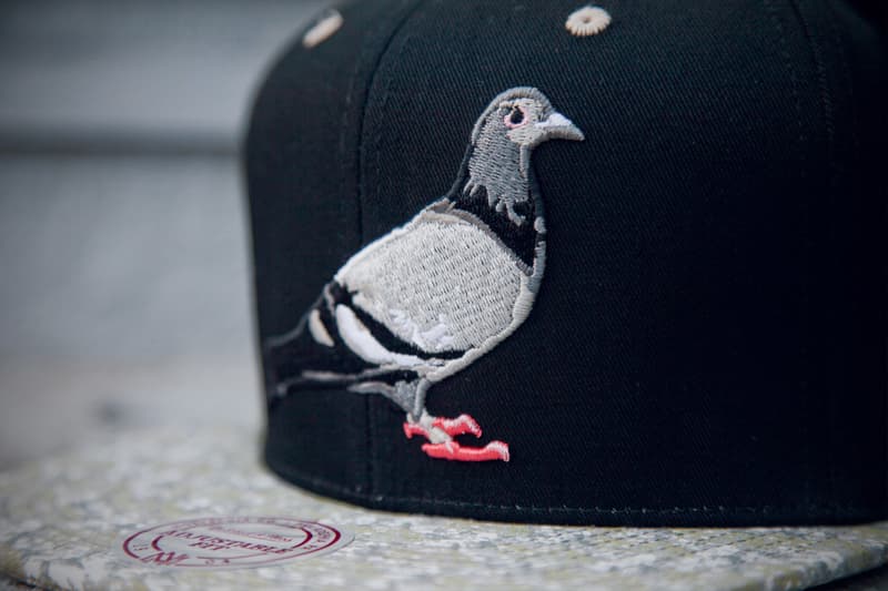 Staple x Mitchell &amp; Ness 2012 秋冬聯名帽款系列