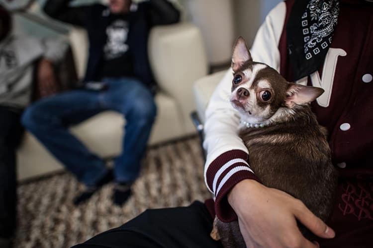 nabiis x BRANDNU 2013 春夏聯名系列造型 Lookbook