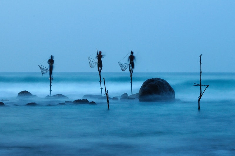 National Geographic’s 2012 Photos of the Year 國家地理雜誌攝影大賽得獎照片