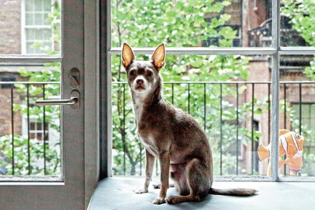 一探 Supreme 創辦人 James Jebbia 位於紐約 Greenwich Village 的居家環境