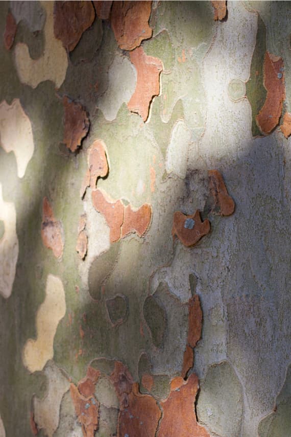 Penfield 2013 春夏 “Summer in Sag Harbor” 概念造型搭配 Lookbook