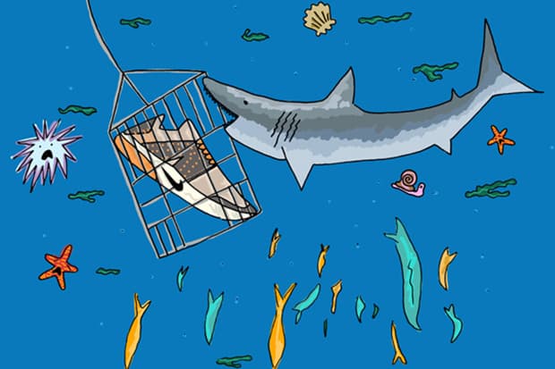 英國插畫師 Josh Parkin 與 The Chimp Store 打造 Nike 2013 春夏季鞋款造型概念插畫