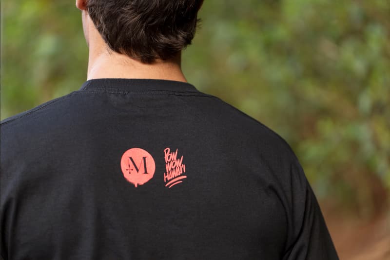 POW WOW x FITTED HAWAII 2013 聯名系列