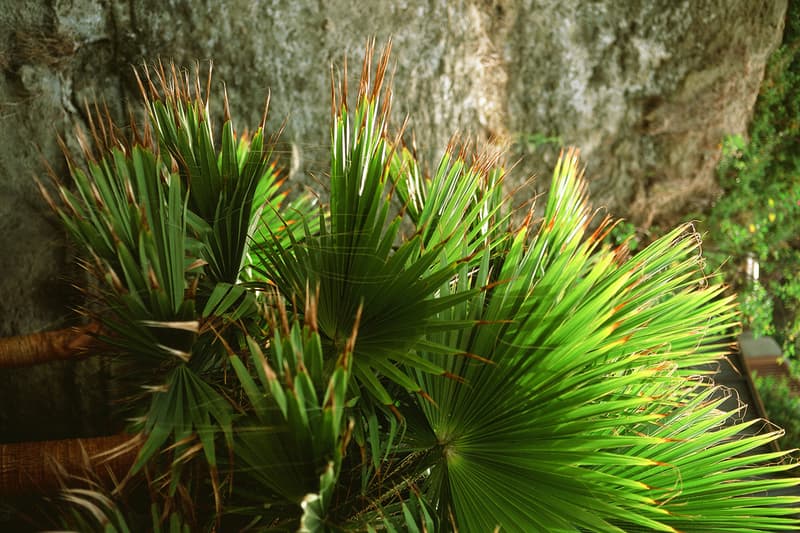 Publish 2013 春季系列造型搭配 Lookbook