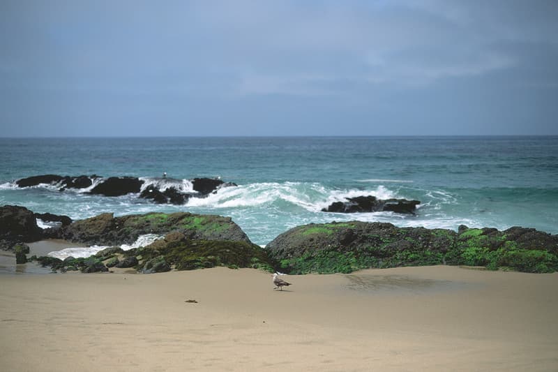 Publish 2013 春季系列造型搭配 Lookbook