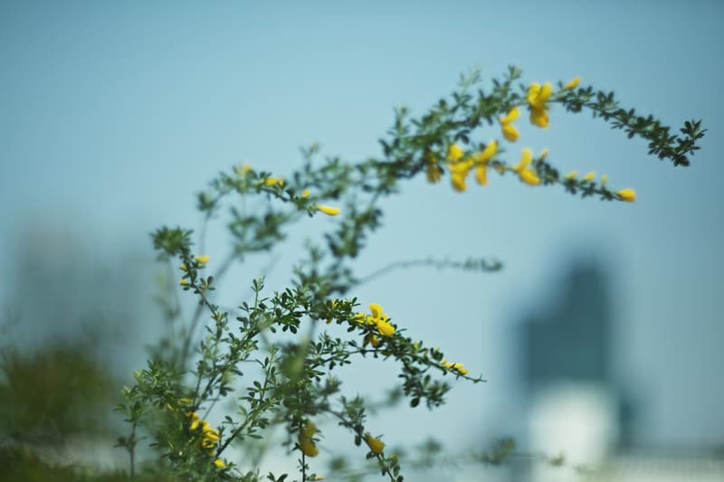 探訪 Heather Grey Wall ESTNATION 期間限定店鋪