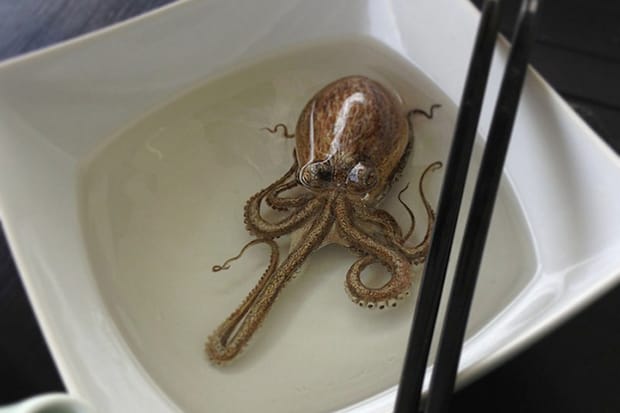 Keng Lye 以假亂真的 3D 繪畫作品