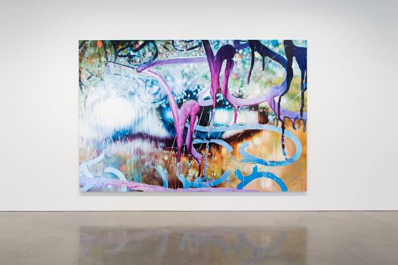 Marilyn Minter 於 Regen Projects 打造全新個人展覽