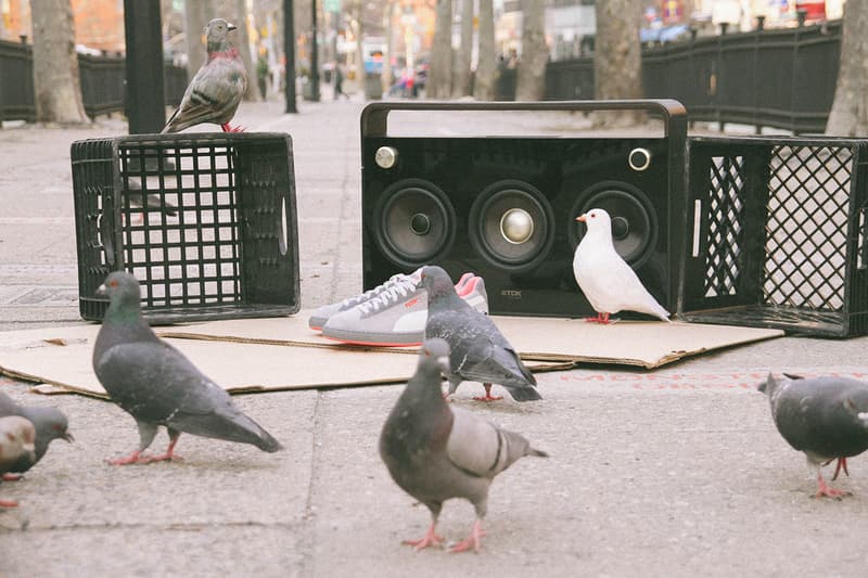 Staple x PUMA Suede “Pigeon” 聯名鞋款