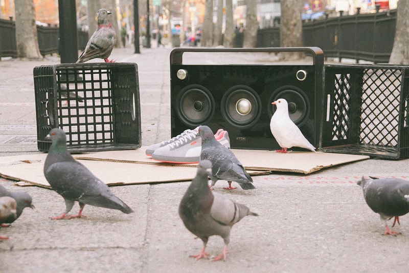 Staple x PUMA Suede “Pigeon” 聯名鞋款