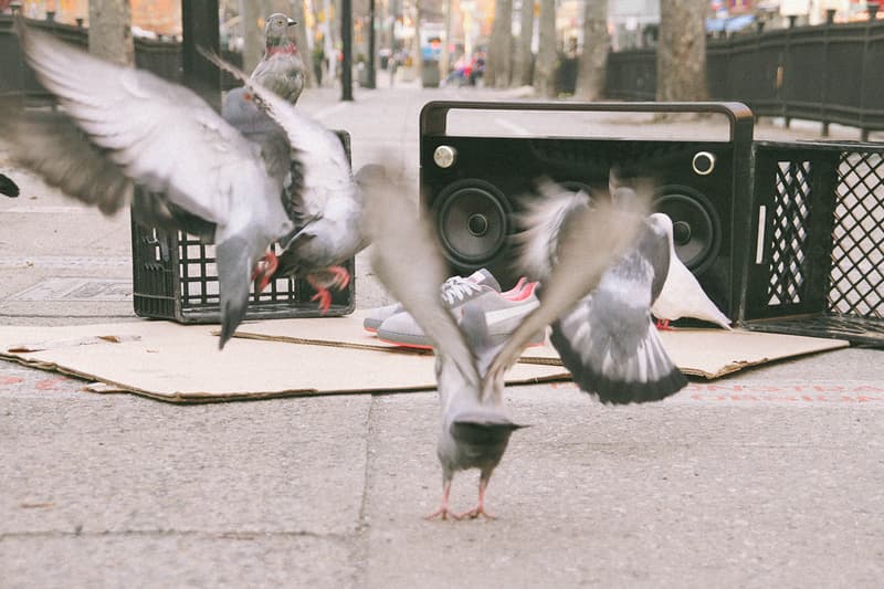 Staple x PUMA Suede “Pigeon” 聯名鞋款