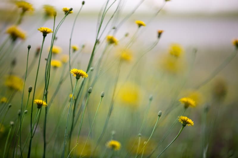 Hypebeast 試駕 2014 年式樣 Lexus IS