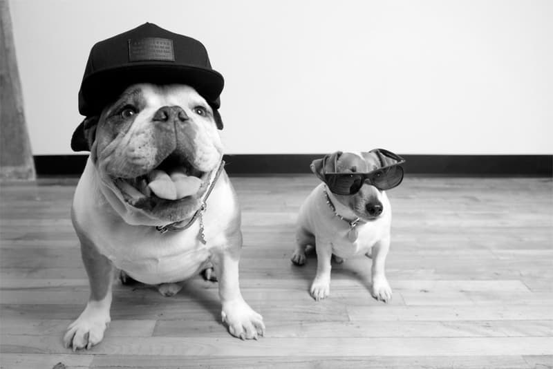 Raised by Wolves 2013 春夏系列造型 Lookbook