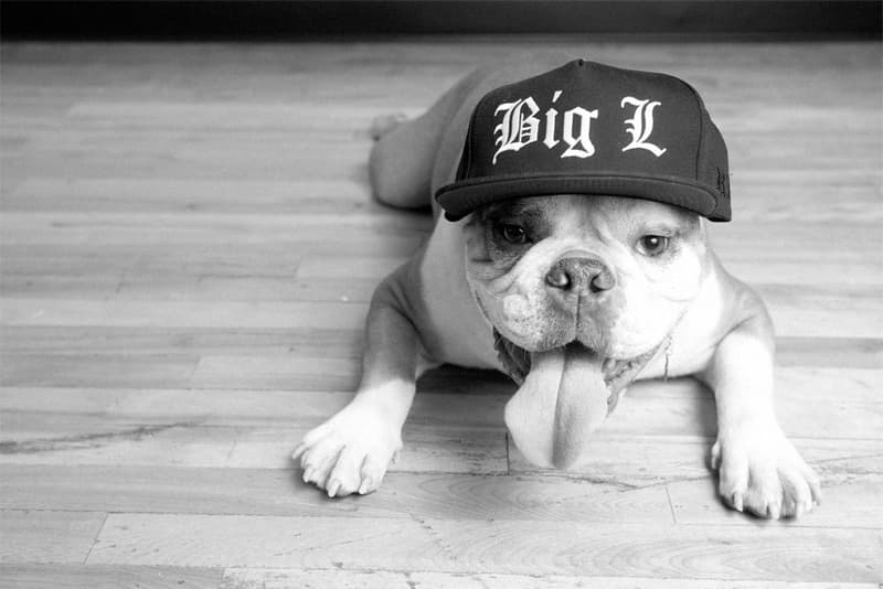 Raised by Wolves 2013 春夏系列造型 Lookbook