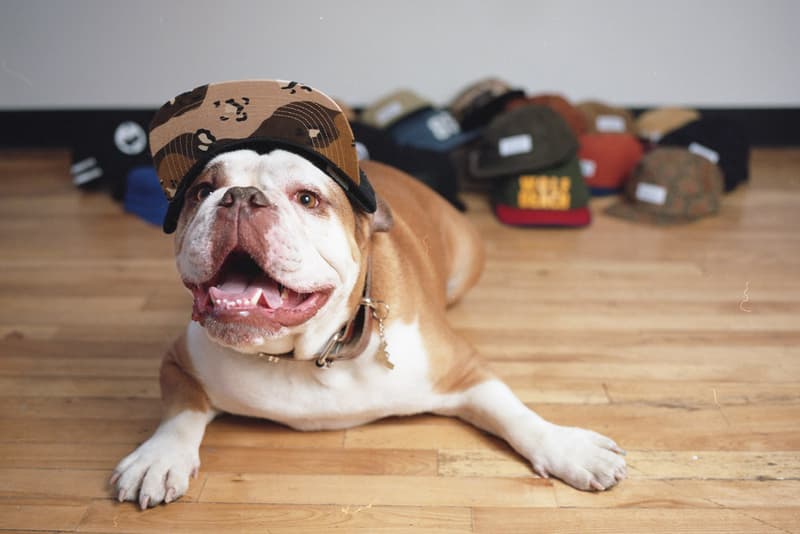 Raised by Wolves 2013 春夏系列造型 Lookbook