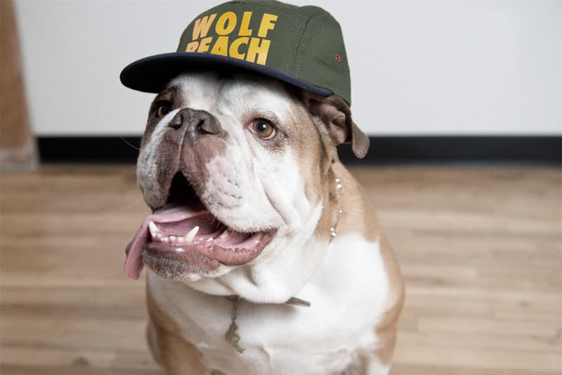 Raised by Wolves 2013 春夏系列造型 Lookbook