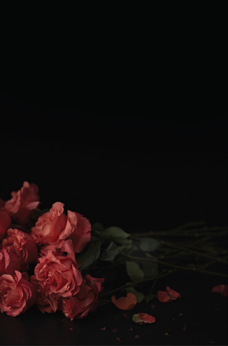 Beyoncé, Axl Rose, Lady Gaga 與 Frank Sinatra 等明星的幕後餐飲曝光