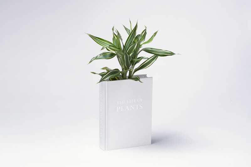 YOY Design Studio 打造書本花瓶