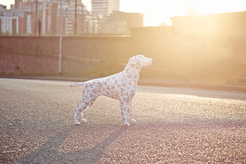 Togs + Clogs 2013 春夏 “Classic Dog Moments” 造型搭配 Lookbook