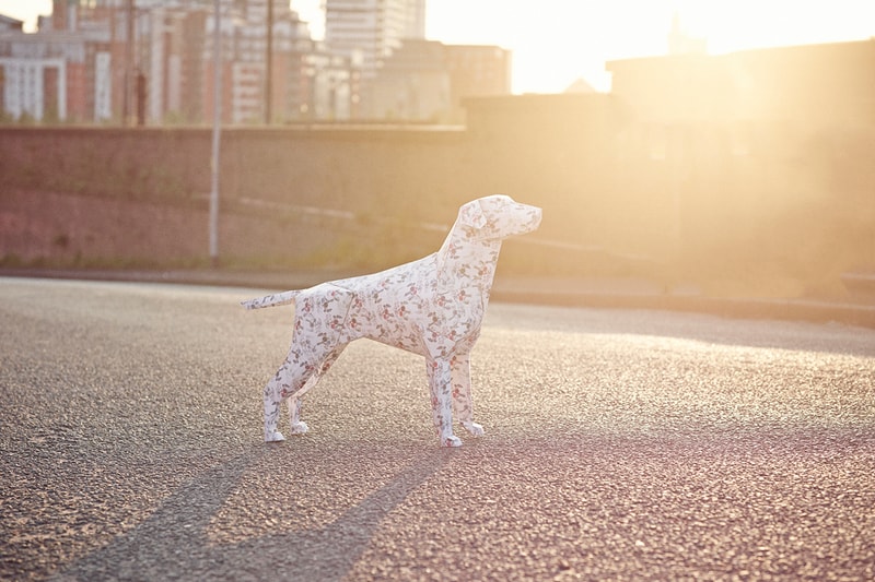 Togs + Clogs 2013 春夏 “Classic Dog Moments” 造型搭配 Lookbook