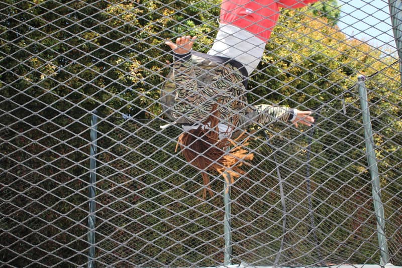 U.S. Alteration 2013 夏季系列造型 Lookbook