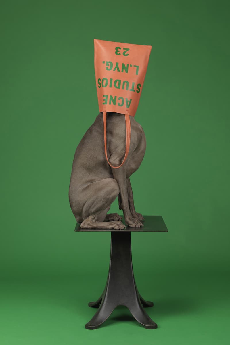 William Wegman 爲 Acne Studios 打造 “Hat Dogs” 造型特輯