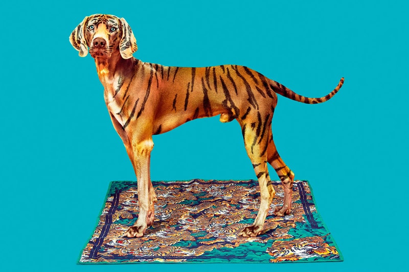 TOILETPAPER 打造 Kenzo 2013 秋冬系列廣告