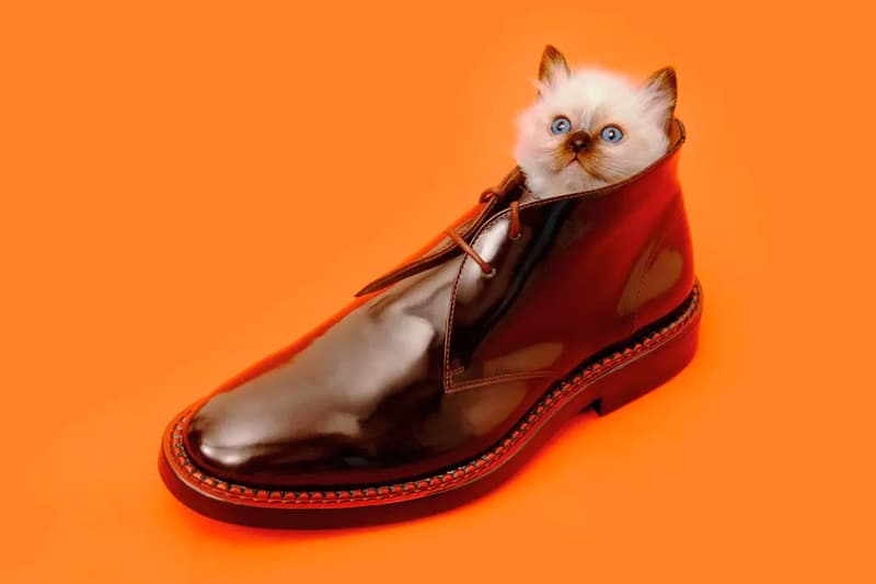 TOILETPAPER 打造 Kenzo 2013 秋冬系列廣告