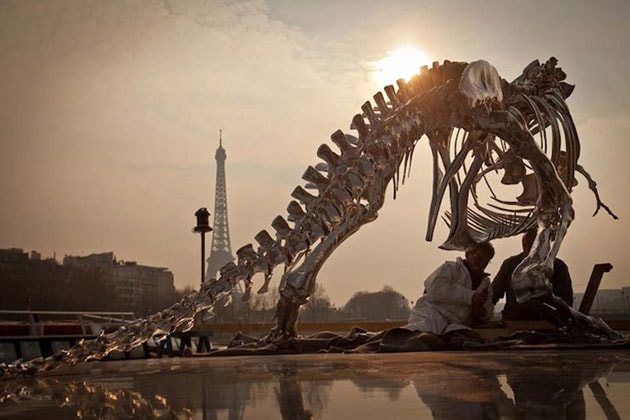 由 Philippe Pasqua 所打造的巨型 T-Rex 霸王龍正“侵占”巴黎 