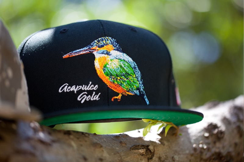 Acapulco Gold 2013 夏季系列帽款