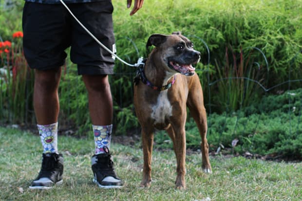 CoolSocks 創意時尚襪子