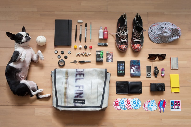 Essentials: REACH