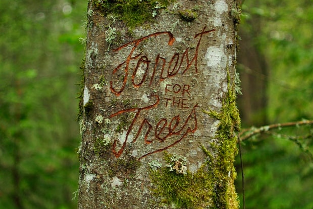16 位藝術家於波特蘭公共藝術節「Forest for the Trees」聯合創作
