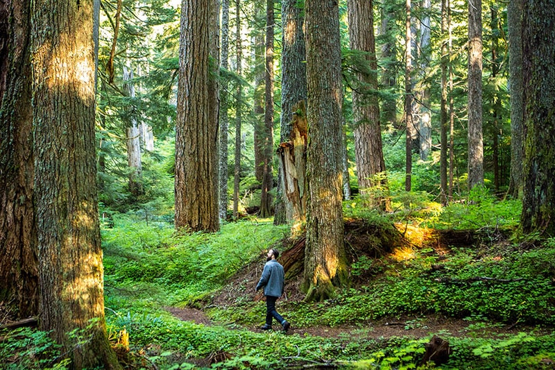 Woolrich x Danner 2013 秋冬聯名系列造型 Lookbook