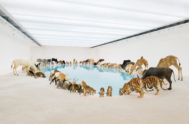 中國當代藝術家蔡國強「歸去來兮」個人展覽 @ Queensland Art Gallery